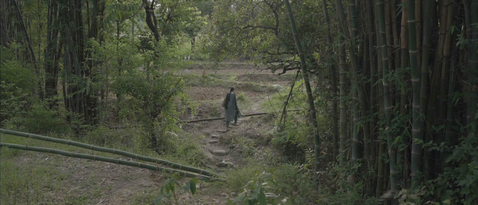 Do Sadkaan still 3